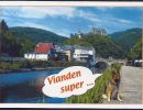 carte postale berger allemand