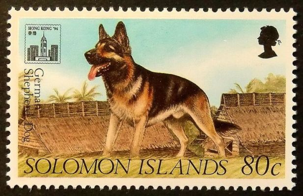 timbre berger allemand