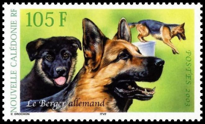 timbre berger allemand