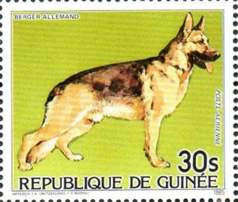 timbre berger allemand
