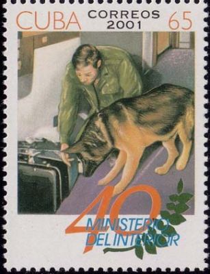 timbre berger allemand