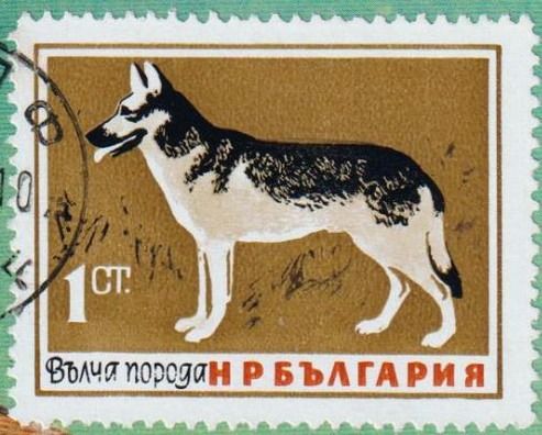 timbre berger allemand