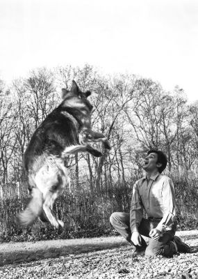 alain delon berger allemand