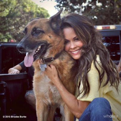 brooke burke bergers allemands