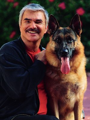 burt reynolds berger allemand