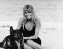 claudia schiffer german shepherd