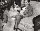 glenn ford berger allemand