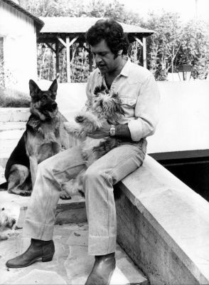 joe dassin berger allemand