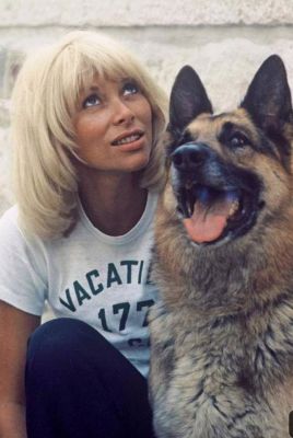 mireille darc berger allemand