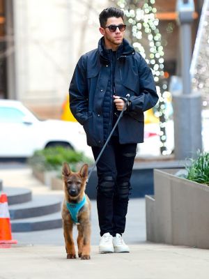 nick jonas berger allemand