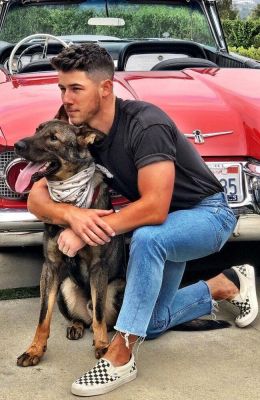 nick jonas berger allemand