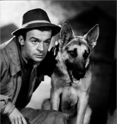 serge reggiani berger allemand