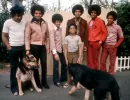 the jackson five