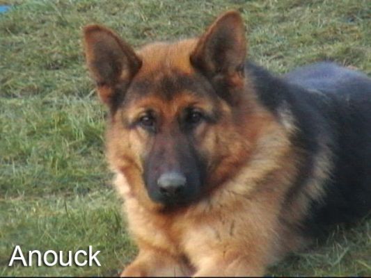 anouck