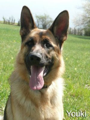youki2