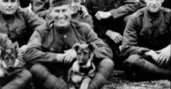 01 duncan rintintin nenette