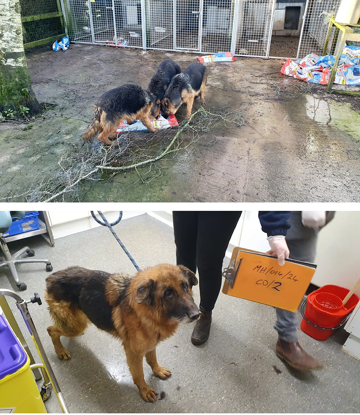 ispca 02