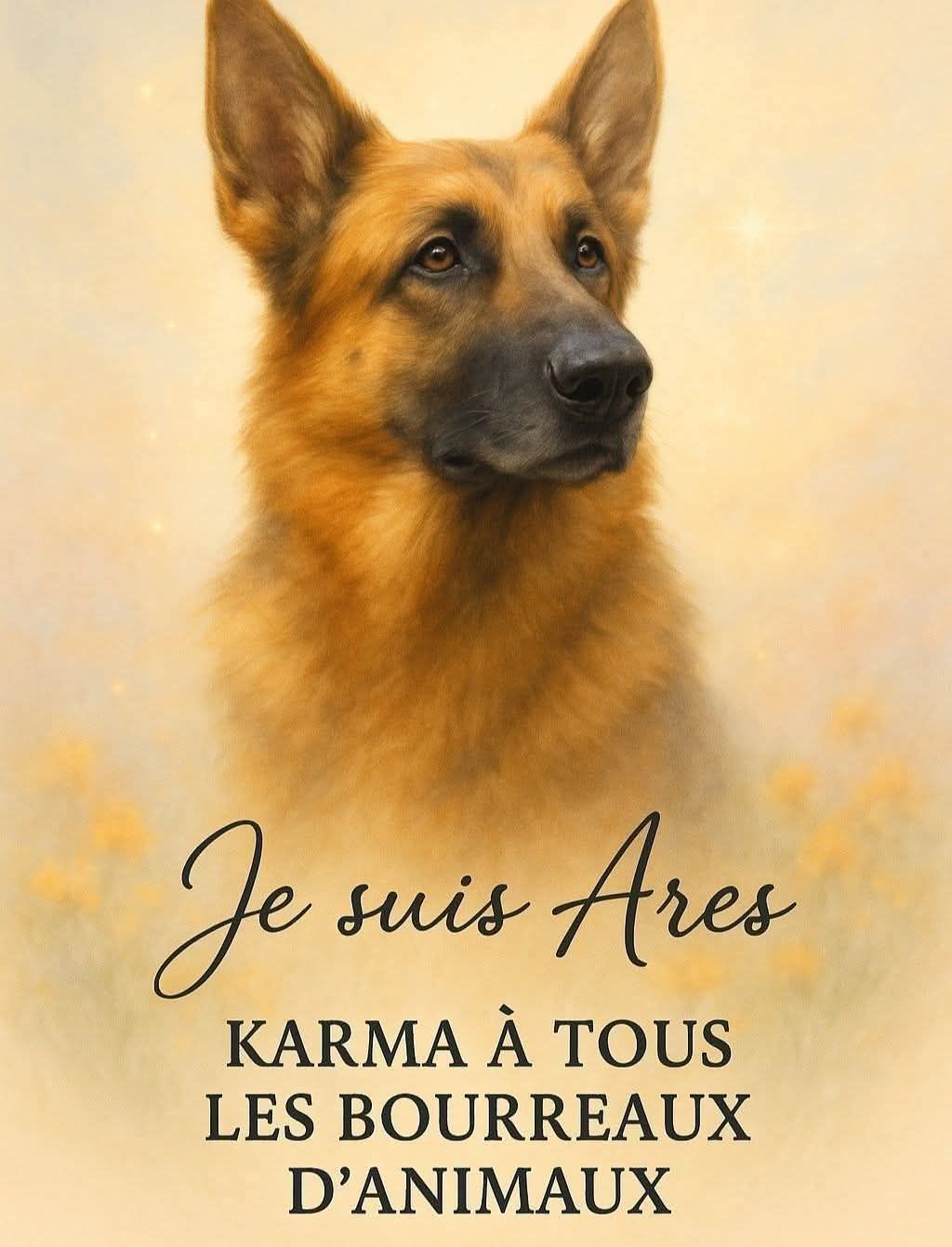 justice pour Ares