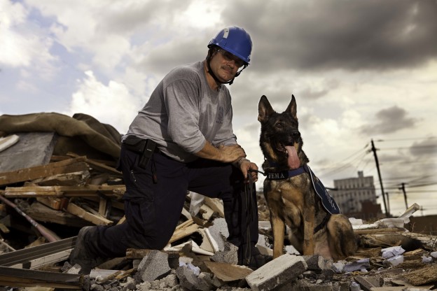Kaiser chien héros du 11 septembre