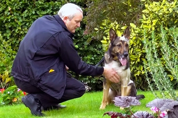 "Loi Finn" : l'ancien maître d'un chien policier héroïque dénonce son application inefficace