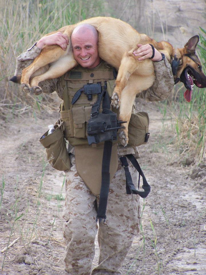 lucca chien de guerre 2006