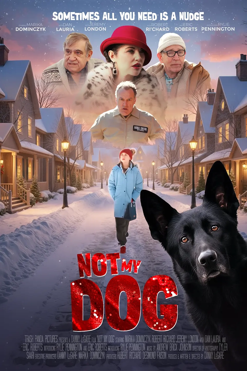 Not My Dog : le film qui met un berger allemand noir sous les projecteurs