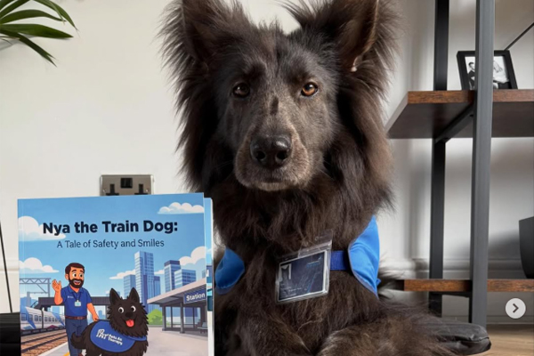 Nya, le berger allemand qui apaise les voyageurs dans les trains britanniques