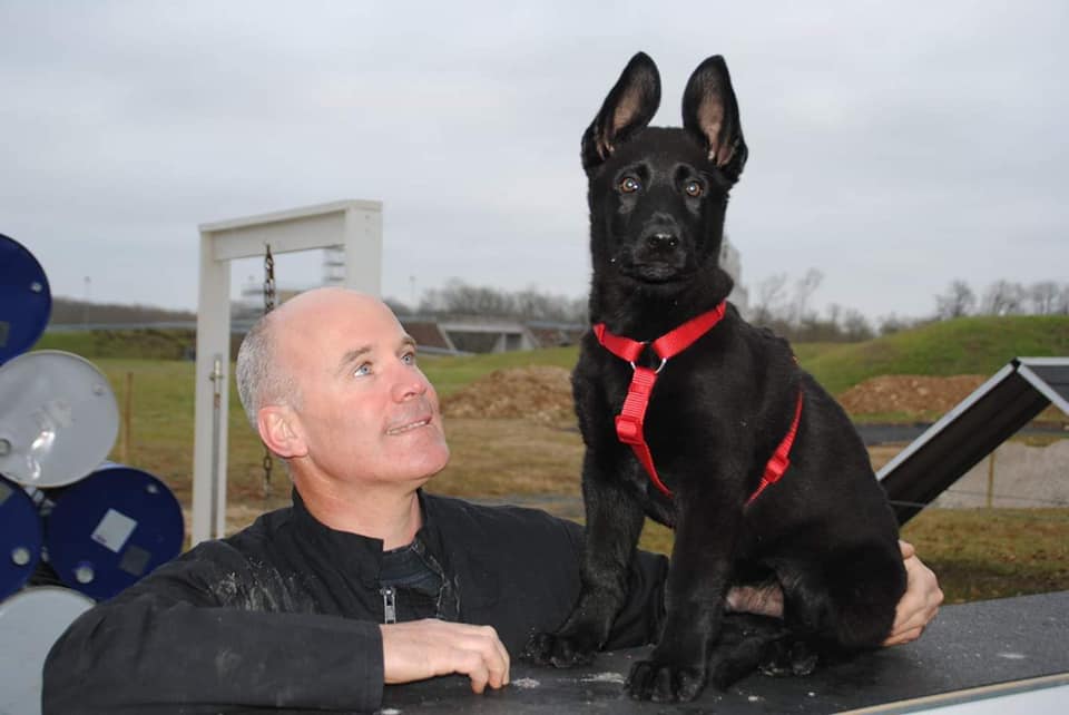 Quand le flair d'un berger allemand sauve une vie en pleine forêt - ONYX SDIS 37