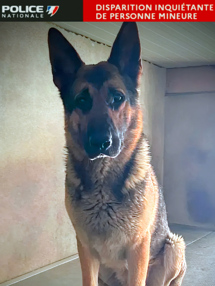 oscar k9