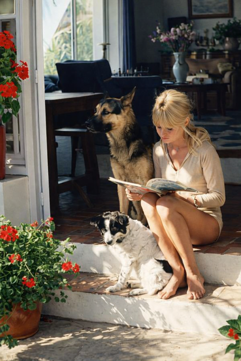 Brigitte Bardot, une vie dédiée aux animaux.