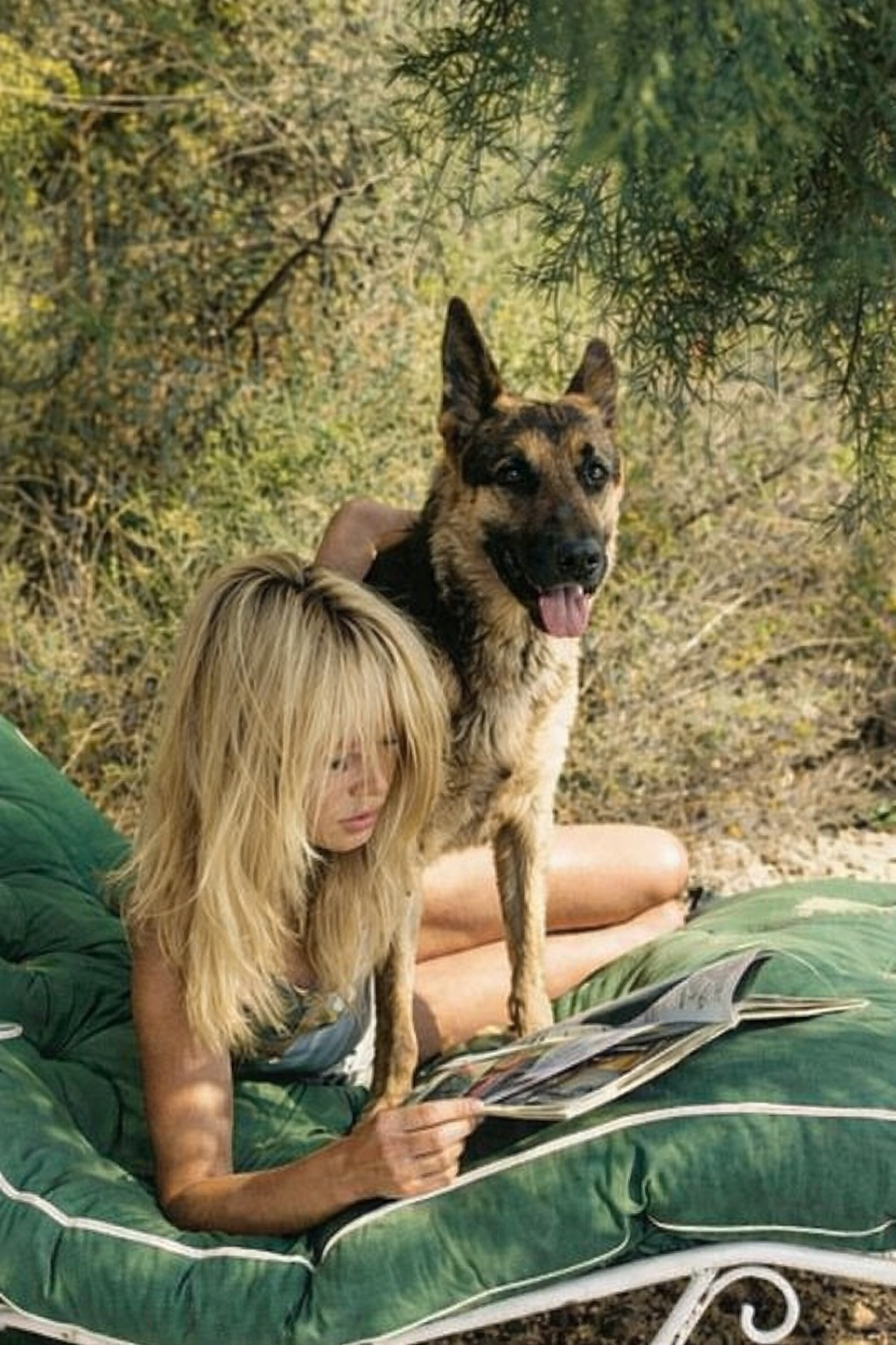Brigitte Bardot, une vie dédiée aux animaux.
