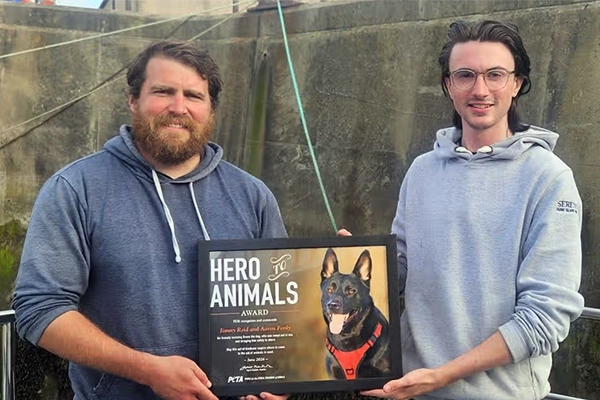 PETA récompense les sauveteurs du Berger Allemand Bruce après son sauvetage en mer