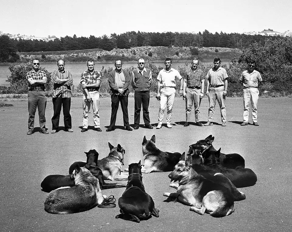 police san francisco