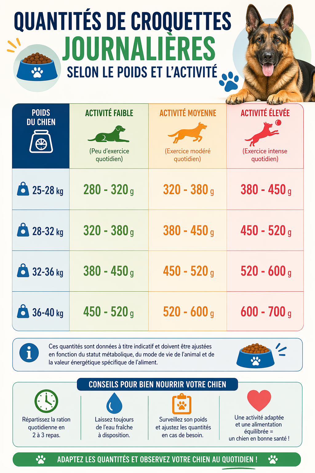 quantites de croquettes journalieres