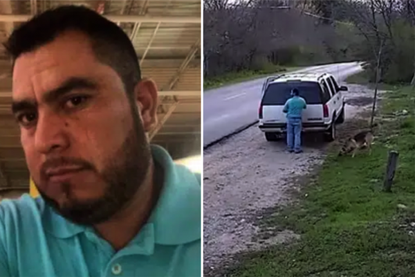 Abandon d’un Berger Allemand au Texas : une affaire choquante qui refait surface