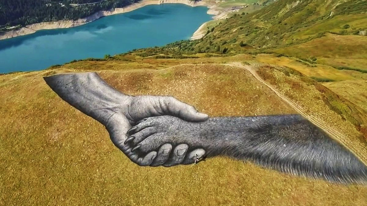 Une main et une patte géantes dans les Alpes : quand Saype célèbre le lien entre l’homme et le chien