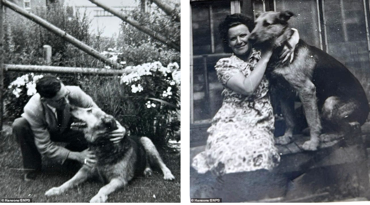 Spandau : l’histoire méconnue d’un chien du D-Day
