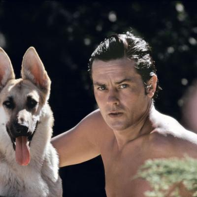 Alain Delon Berger Allemand