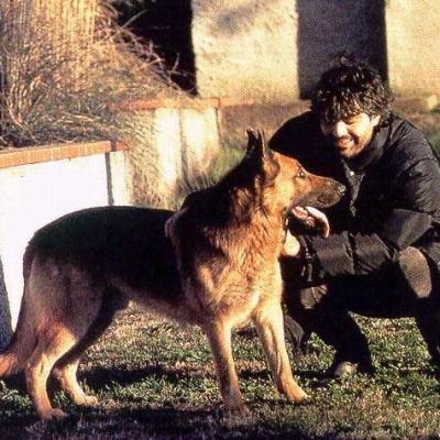 Andrea Bocelli Berger Allemand