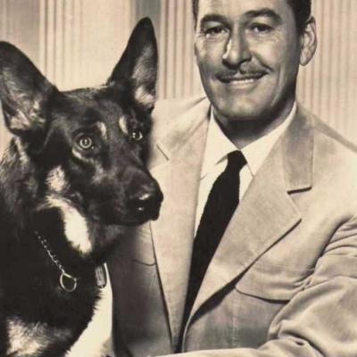 Errol Flynn Berger Allemand