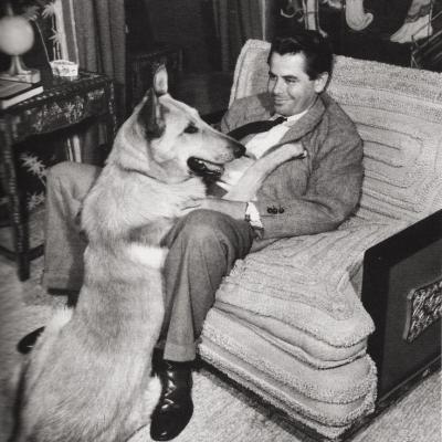 Glenn Ford Berger Allemand