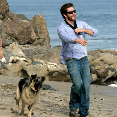 Jake Gyllenhaal Berger Allemand