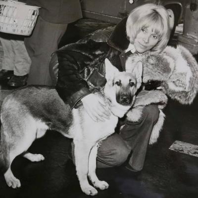 Mireille Darc Berger Allemand 3