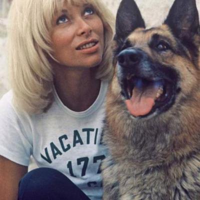 Mireille Darc Berger Allemand 4