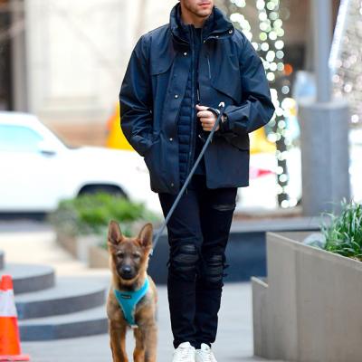 Nick Jonas Berger Allemand 2