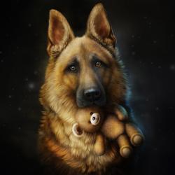 Fond Ecran Berger Allemand 2