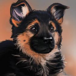 Artwork Berger Allemand 13