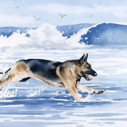 Artwork Berger Allemand 1