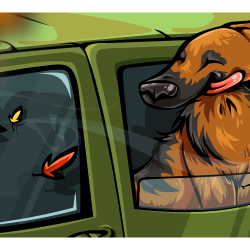 Artwork Berger Allemand 20a