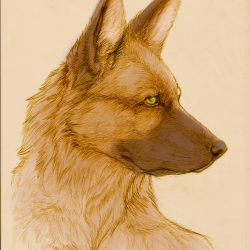 Artwork Berger Allemand 30a